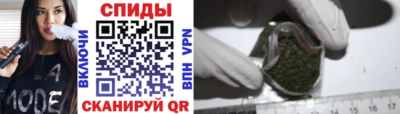 Бутират буратино  цены   Карабаново 