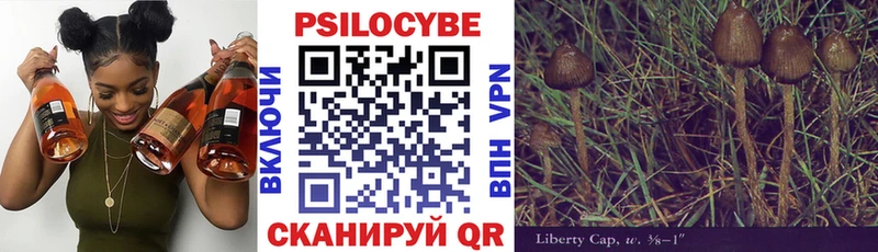 Галлюциногенные грибы Psilocybine cubensis  Карабаново 