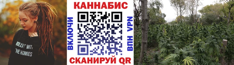 магазин продажи наркотиков  Карабаново  Бошки марихуана план 